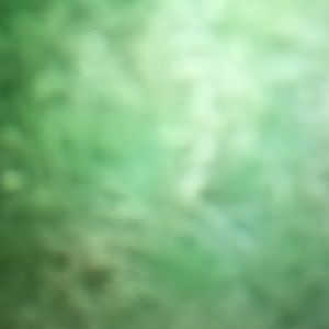 Meet your Posher, Jesse